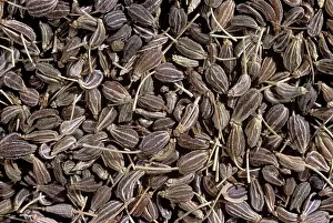 Anis: Aniseed