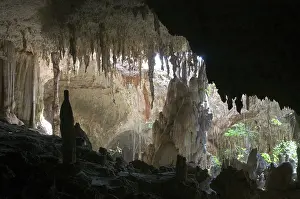 Tsingy: Anjohibe Cave, Madagascar