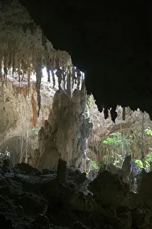 Tsingy: Anjohibe Cave, Madagascar