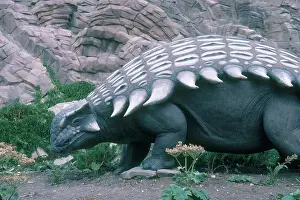 Calgary: Ankylosaurus