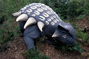 Models: Ankylosaurus