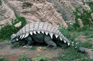 Models: Ankylosaurus