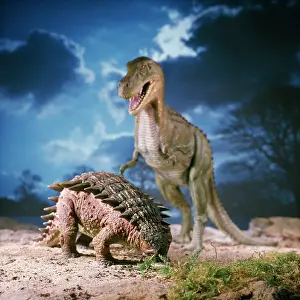 Ankylosaurus - with Tyrannosaurus in the background