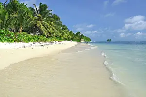 Destinations: Anse La Reunion, dreamlike beach, palm trees, La