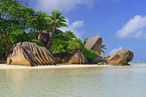 Anse: Anse Source d'Argent, beach with rocks and palm