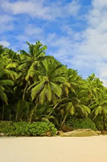 Anse: Anse Victorin Beach