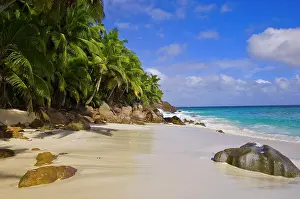Anse: Anse Victorin beach