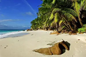 Anse: Anse Victorin Beach