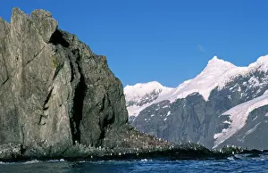 Alyssa Giustozzi: Antarctic