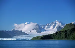 Alyssa Giustozzi: Antarctic
