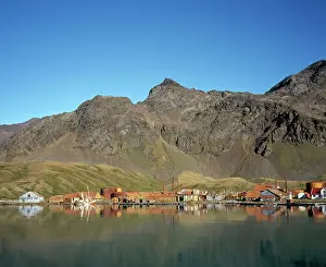Alyssa Giustozzi: ANTARCTIC, - Abandoned Whaling station