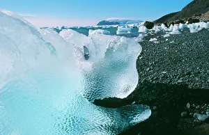 Alyssa Giustozzi: Antarctic - Brown Bluff, Antarctic Peninsular