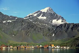 Whaling: Antarctic - Grytviken Whaling Station
