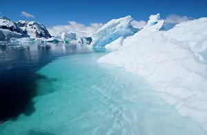 Mystical: Antarctic Peninsula, Cuverville Island