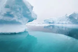 Mystical: Antarctic Peninsula, Cuverville Island