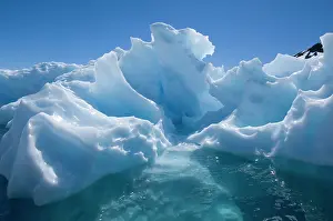 Mystical: Antarctic Peninsula, Cuverville Island