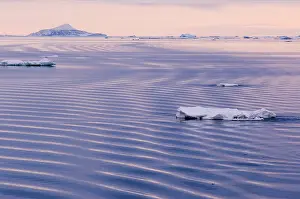 Terror: Antarctic Peninsula, Erebus and Terror Gulf