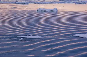 Terror: Antarctic Peninsula, Erebus and Terror Gulf