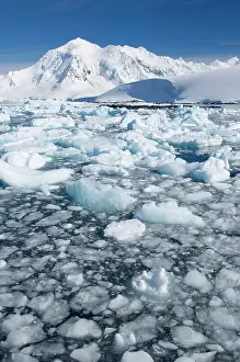 Amazement: Antarctic Peninsula, Goudler Island, Port