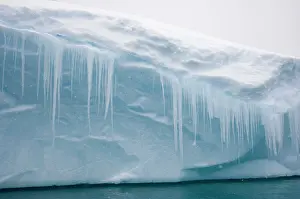 Clearness: Antarctic Peninsula, Pleneau Bay. Close-up