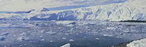 Terminal: Antarctica