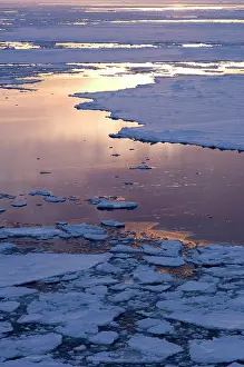 Breaking: Antarctica, Amundsen Sea. Pancake ice at