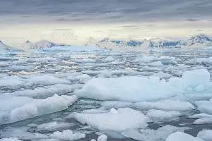 Iceberg: Antarctica, Andvord Bay, Neko Harbour. Landscape with