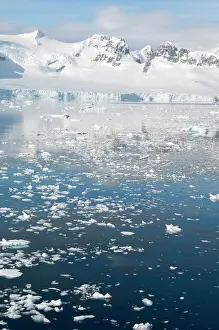 Bergy: Antarctica, Antarctic Penninsula. Paradise