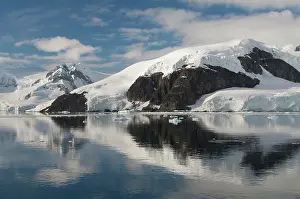 Penninsula: Antarctica, Antarctic Penninsula. Paradise