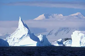 Lemaire: Antarctica, Boothe Island, Afternoon sun