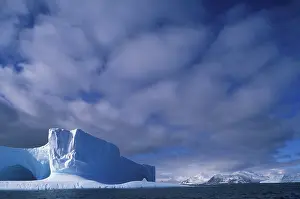Tabular: Antarctica, Bransfield Strait, Afternoon