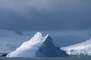 Austral: Antarctica, Challenger Island, Morning sun