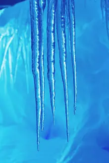 Pointed: Antarctica, Close-up of icicles hanging