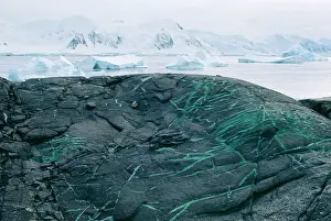 Edwin Mickleburgh: Antarctica - copper veins in rock
