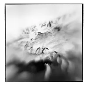Deception: Antarctica, Deception Island, Blurred black