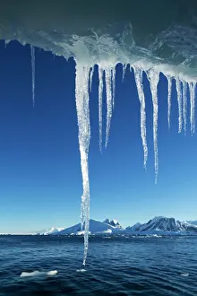 Pointed: Antarctica, Icicle hangs from melting iceberg