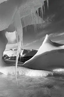 Hangs: Antarctica, Icicle hangs from melting iceberg