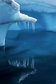 Strait: Antarctica, Icicles hang from iceberg floating