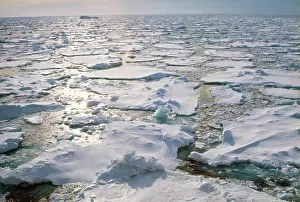 Edwin Mickleburgh: Antarctica - loose pack ice