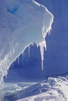 Peter Steyn: ANTARCTICA - MELTING ICE