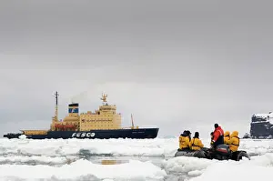 Pancake: Antarctica, Peter the First Island. Zodiac