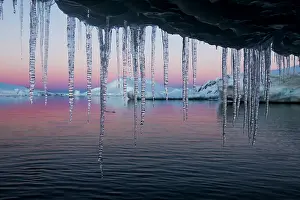 Lemaire: Antarctica, Petermann Island, Icicles hang