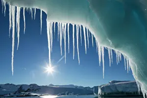 Lemaire: Antarctica, Petermann Island, Icicles hang