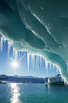 Lemaire: Antarctica, Petermann Island, Icicles hang