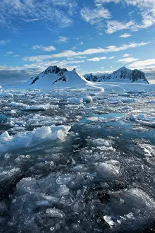 Fills: Antarctica, Port Lockroy, Ice fills Nuemeyer