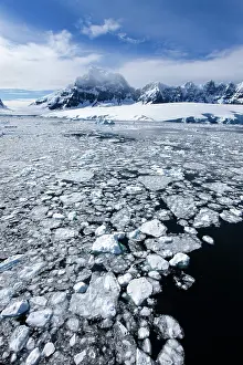Wiencke: Antarctica, Port Lockroy, Morning sun lights