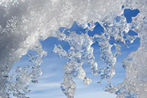Adare: Antarctica, Ross Sea, Cape Adare. Icicles