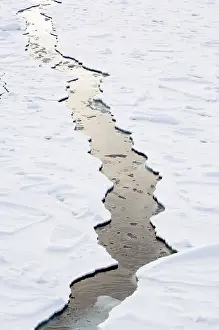 Breaking: Antarctica, Ross Sea. Crack in pack ice