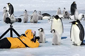 Birth: Antarctica, Snow Hill Island. Photographer