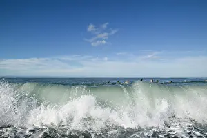 Surfing: Antarctica, South Georgia Island (UK), King